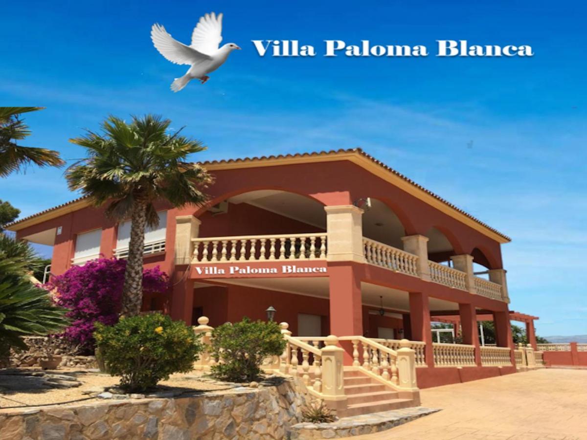 Villa Paloma Blanca El Albir Ngoại thất bức ảnh